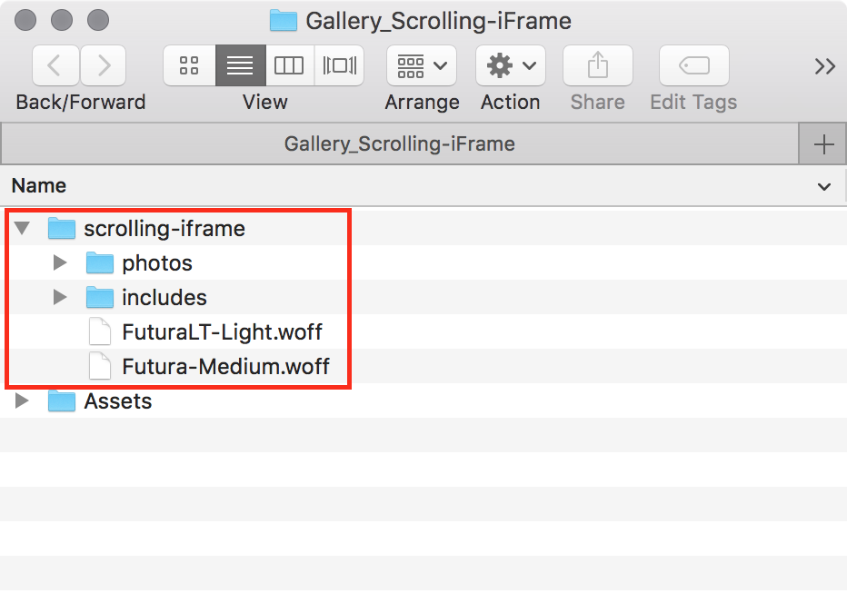 figure #2: Assets copied into the project folder