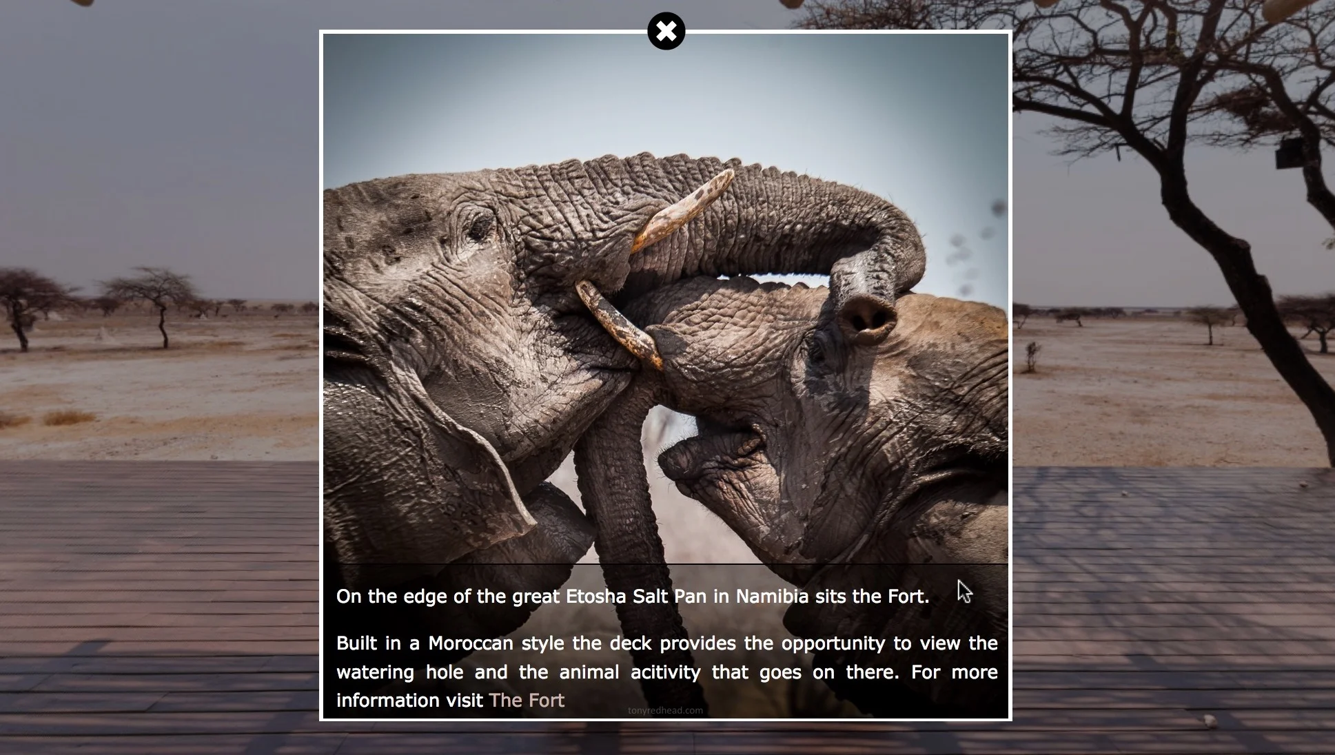 Zooming Popup with Reveal Text Overlay - Part 1