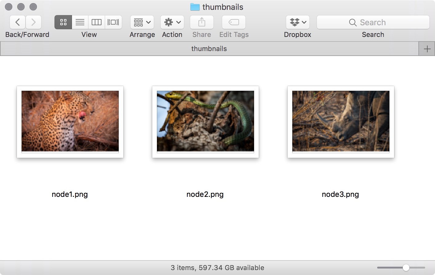 Figure #29: Node thumbnails viewed in Preview (Mac)