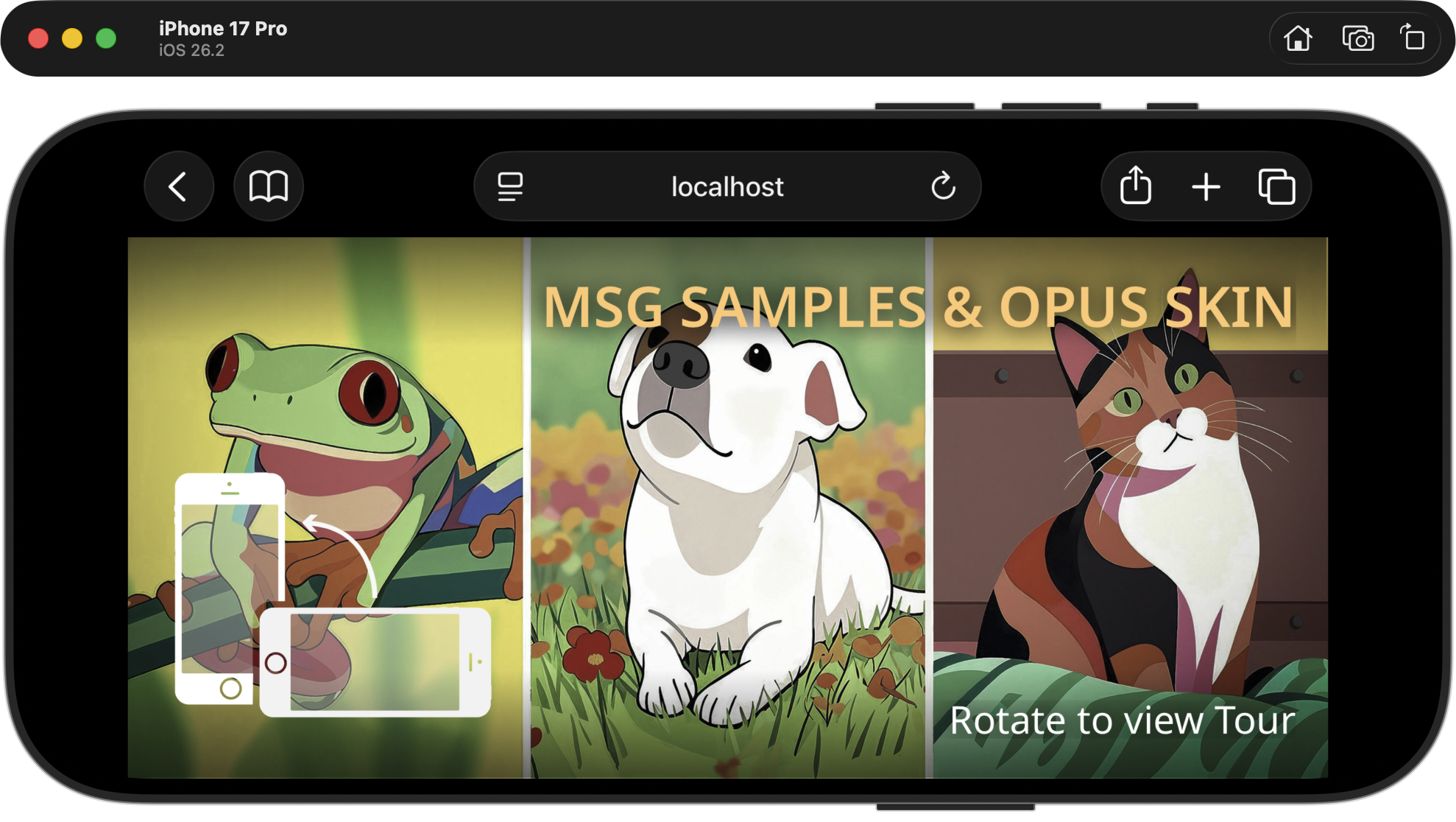 Designing for the Small Screen