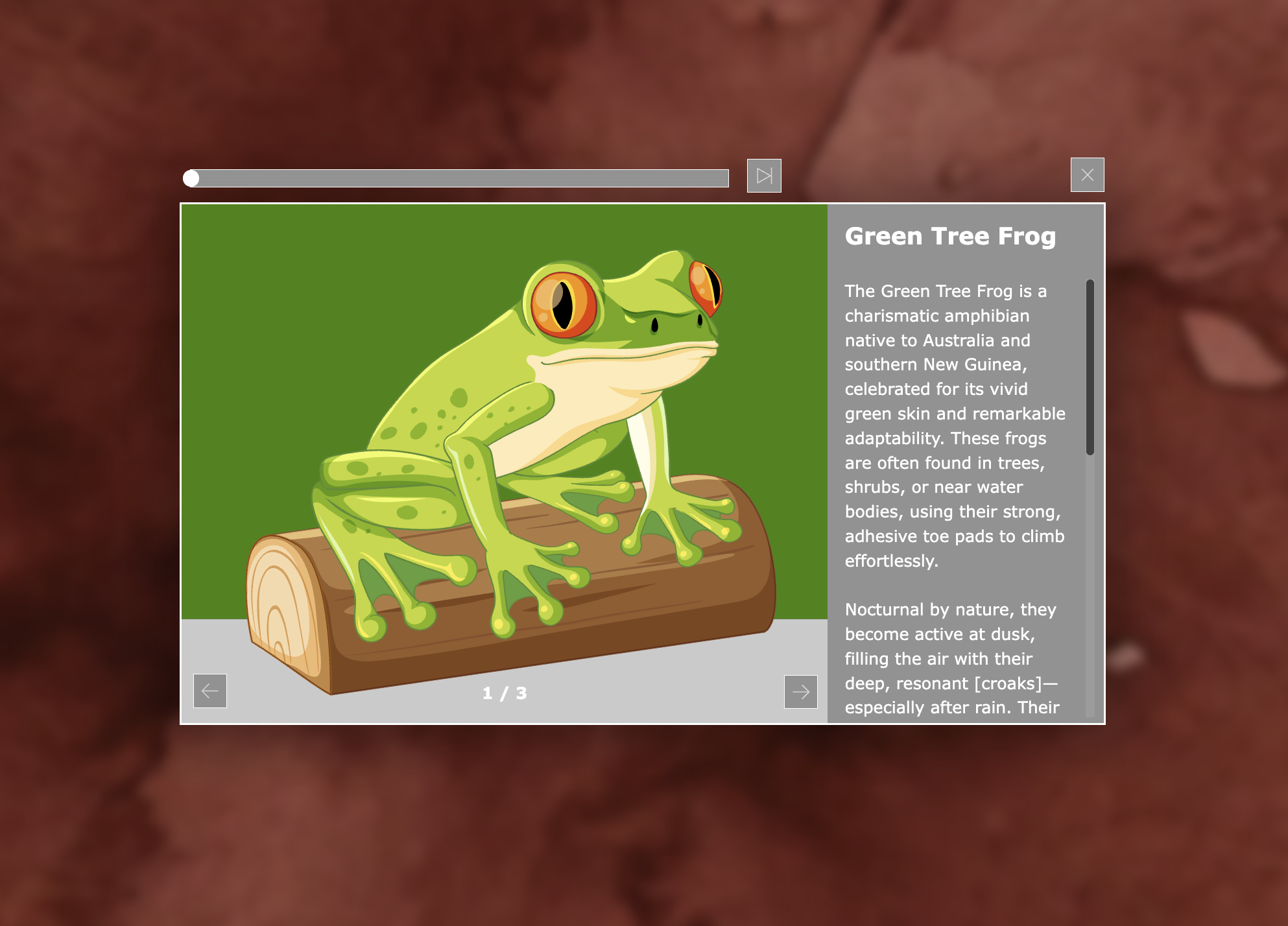 3. Alternate Images/Formats