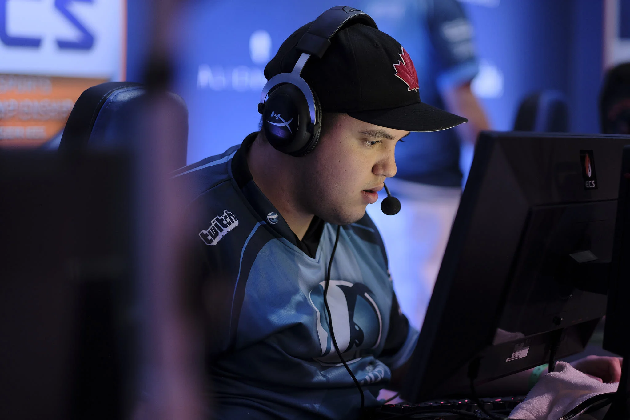 _DSF2058  © Joe Stephens 2018.jpg