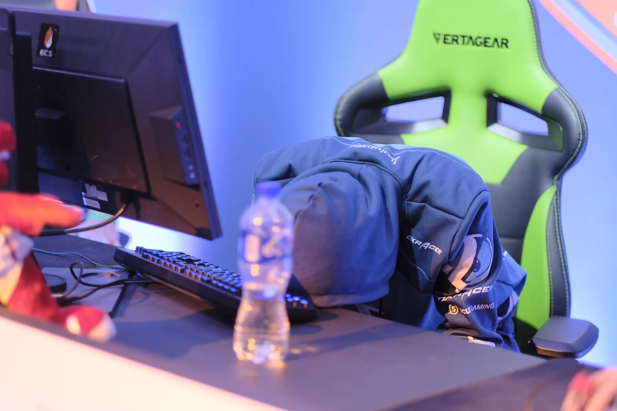 _DSF2551  © Joe Stephens 2018.jpg