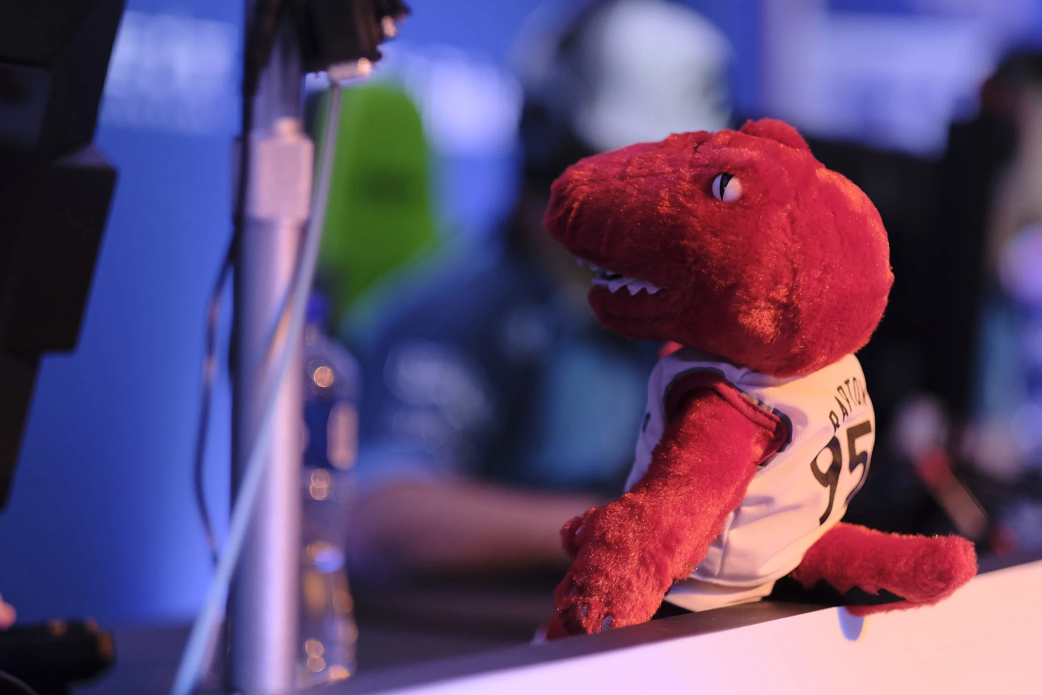 _DSF2623  © Joe Stephens 2018.jpg