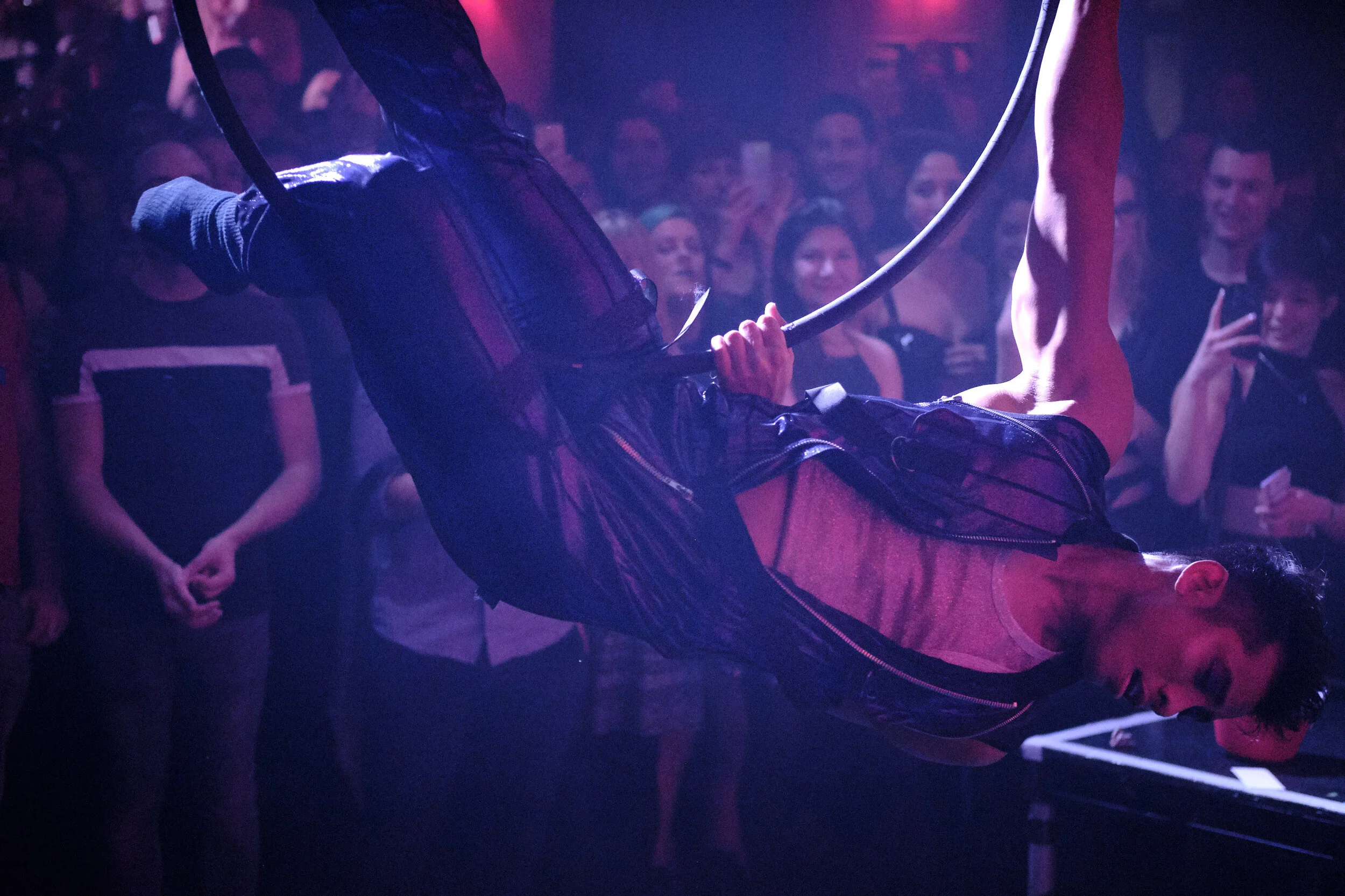 Capture - _DSF7979 Joe Stephens.jpg