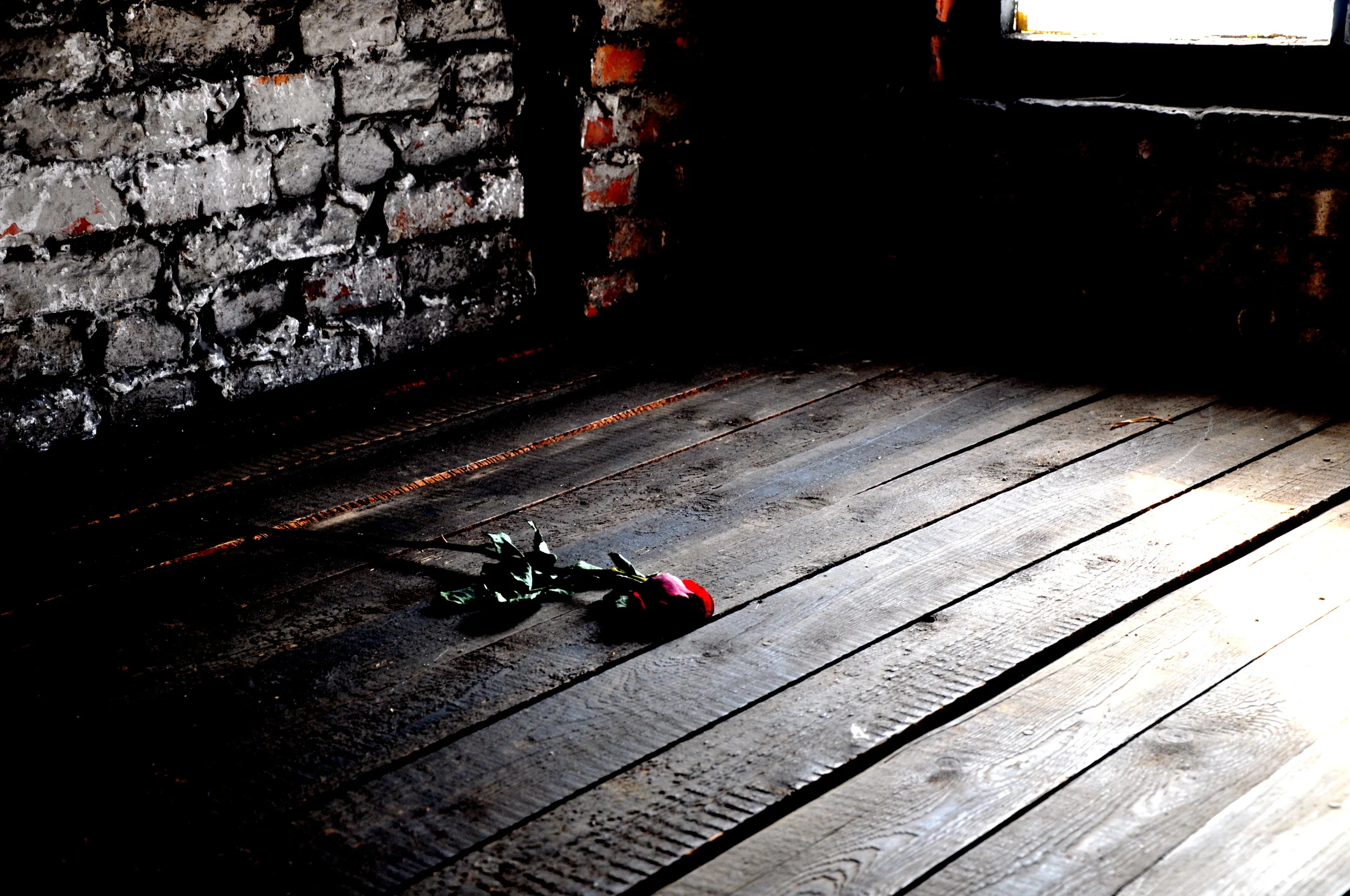 Barracks, Auschwitz-Birkenau Concentration Camp, Poland