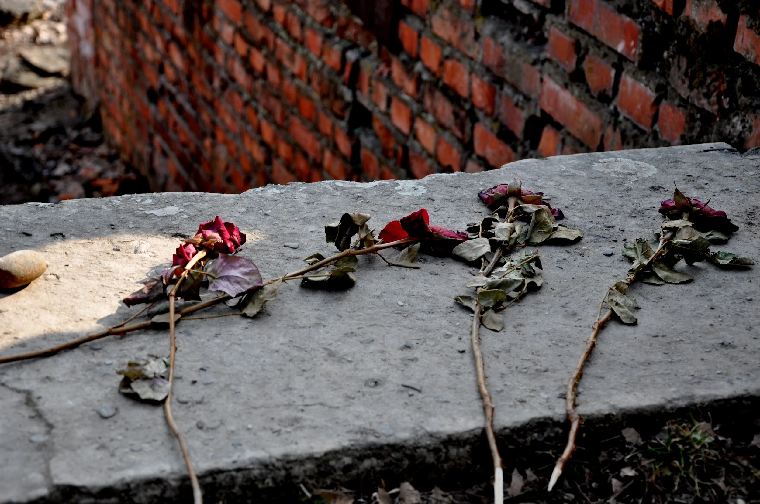 Remains of Crematoriums. Auschwitz-Birkenau Concentration Camp, Poland