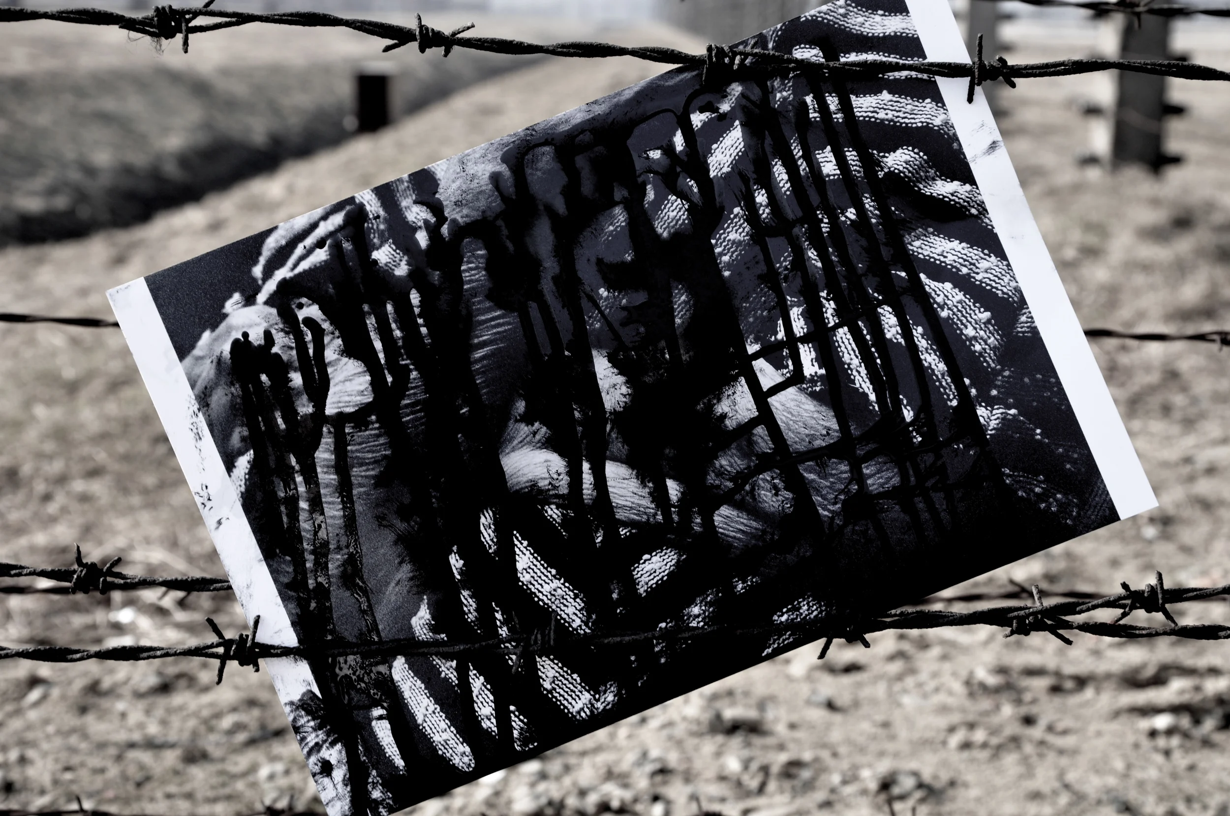 Auschwitz-Birkenau Concentration Camp, Poland