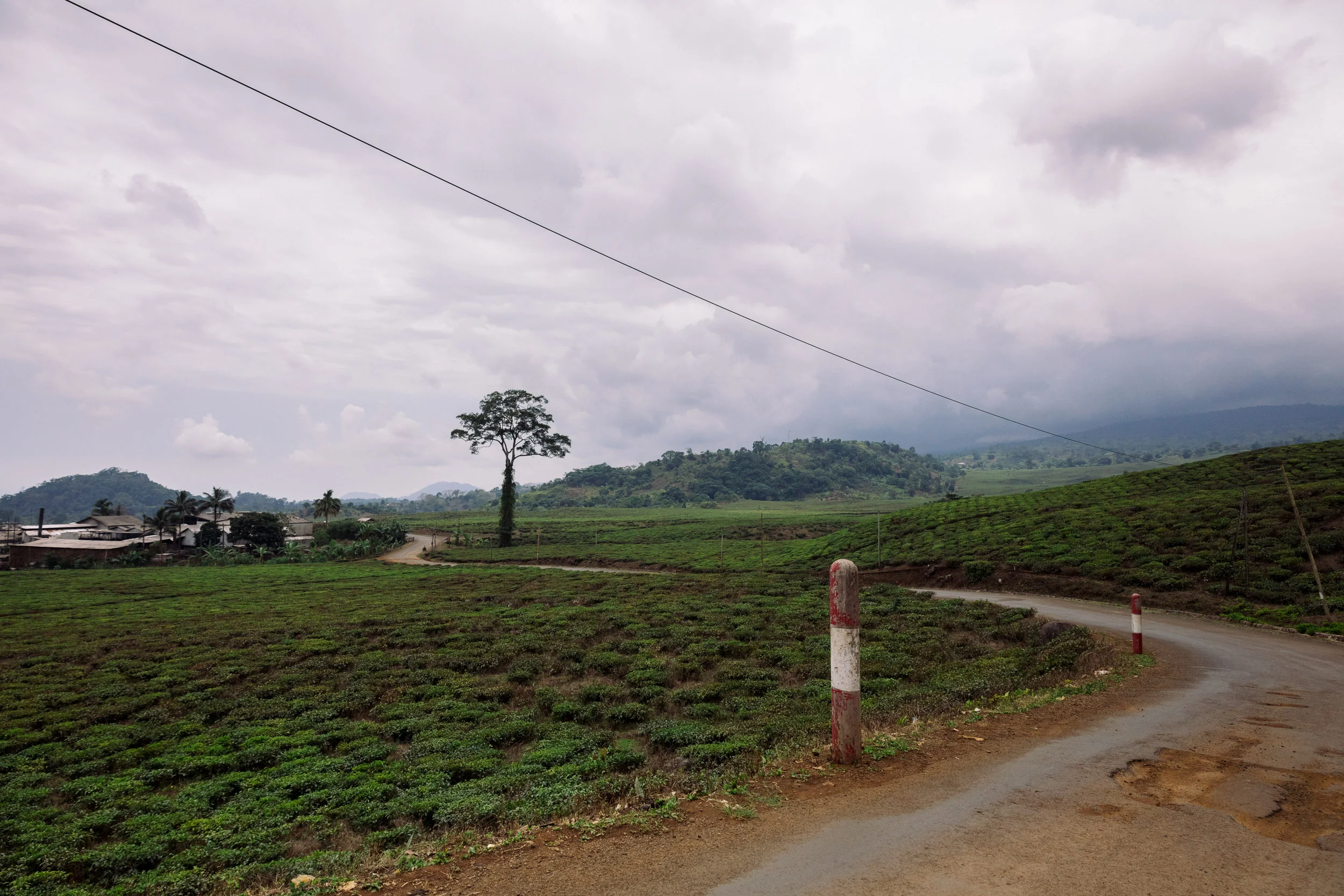 Documenting the people of Cameroon and the impact of Hope Outreach International Ministries.
