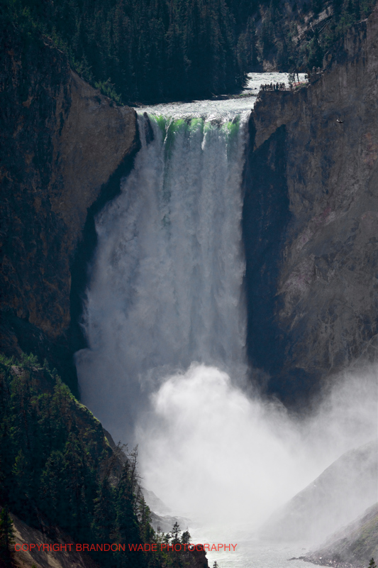 EDIT_BWX0061_4_Published_20170811_Yellowstone_GrandTeton_NationalPark_Wildlife_Elk_Deer_Bison_OldFaithfull_Gyser_Geothermal_Milkyway_InternationalSpaceStation_NightPhotography_Stars.jpg