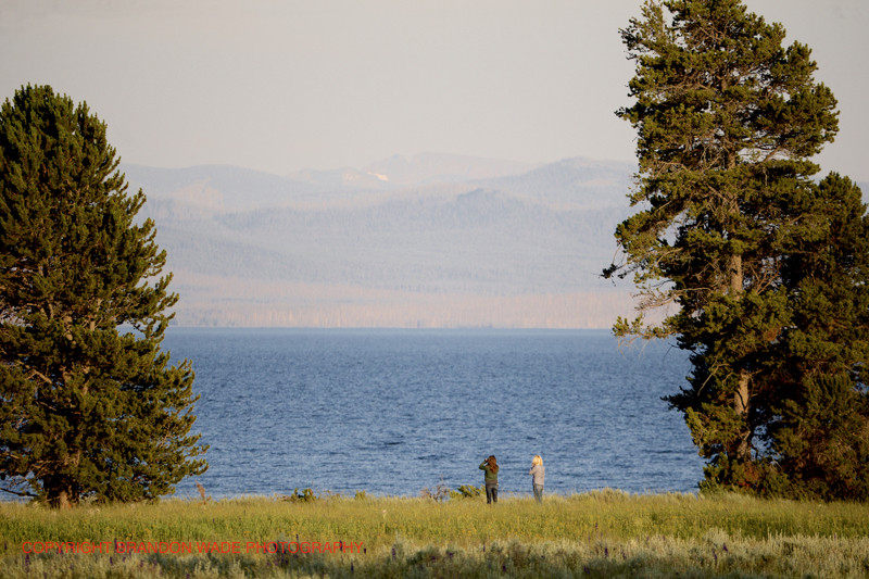 EDIT_BWX9148_18_Published_20170811_Yellowstone_GrandTeton_NationalPark_Wildlife_Elk_Deer_Bison_OldFaithfull_Gyser_Geothermal_Milkyway_InternationalSpaceStation_NightPhotography_Stars.jpg