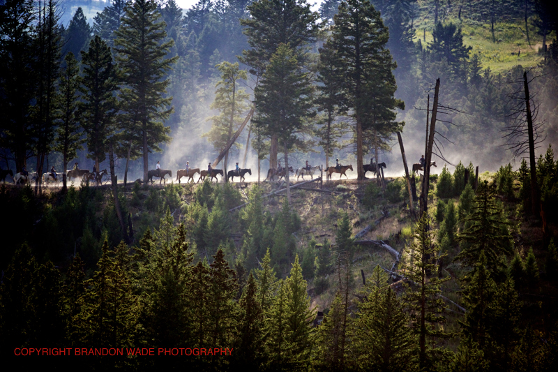 EDIT_BWX9785_25_Published_20170811_Yellowstone_GrandTeton_NationalPark_Wildlife_Elk_Deer_Bison_OldFaithfull_Gyser_Geothermal_Milkyway_InternationalSpaceStation_NightPhotography_Stars.jpg