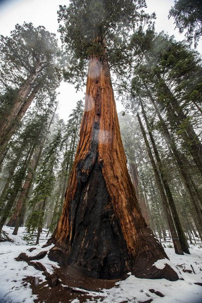 01.30.24_Yosemite National Park Travel Photos_EDIT_BMW6478.JPG