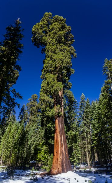 01.30.24_Yosemite National Park Travel Photos_EDIT_BMW6840.JPG