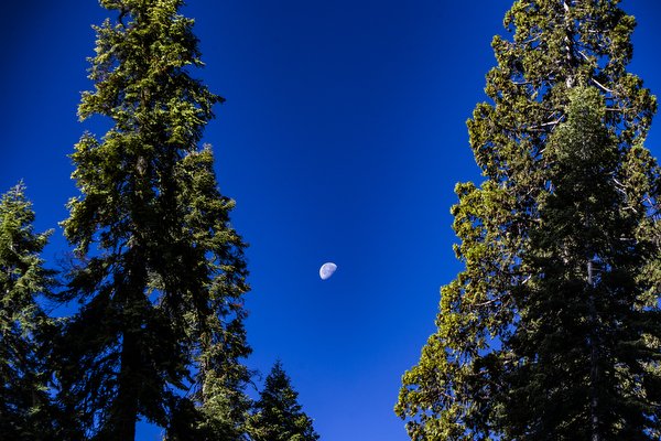 01.30.24_Yosemite National Park Travel Photos_EDIT_BWX4684.JPG
