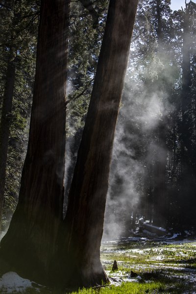 01.30.24_Yosemite National Park Travel Photos_EDIT_BWX4714.JPG