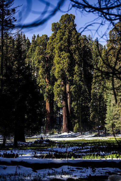 01.30.24_Yosemite National Park Travel Photos_EDIT_BWX4722.JPG