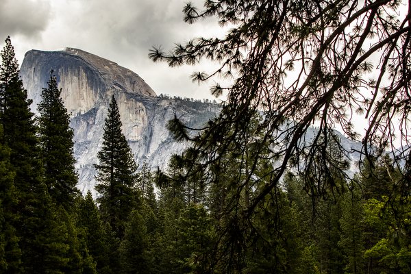 01.30.24_Yosemite National Park Travel Photos_EDIT_BWX4937.JPG