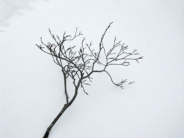 IMG_7597.jpg