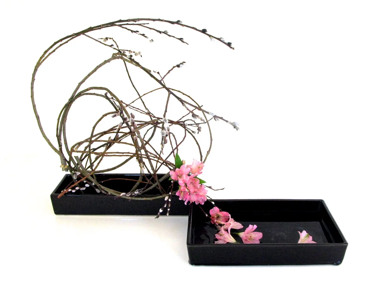 20130404 miyako.jpg