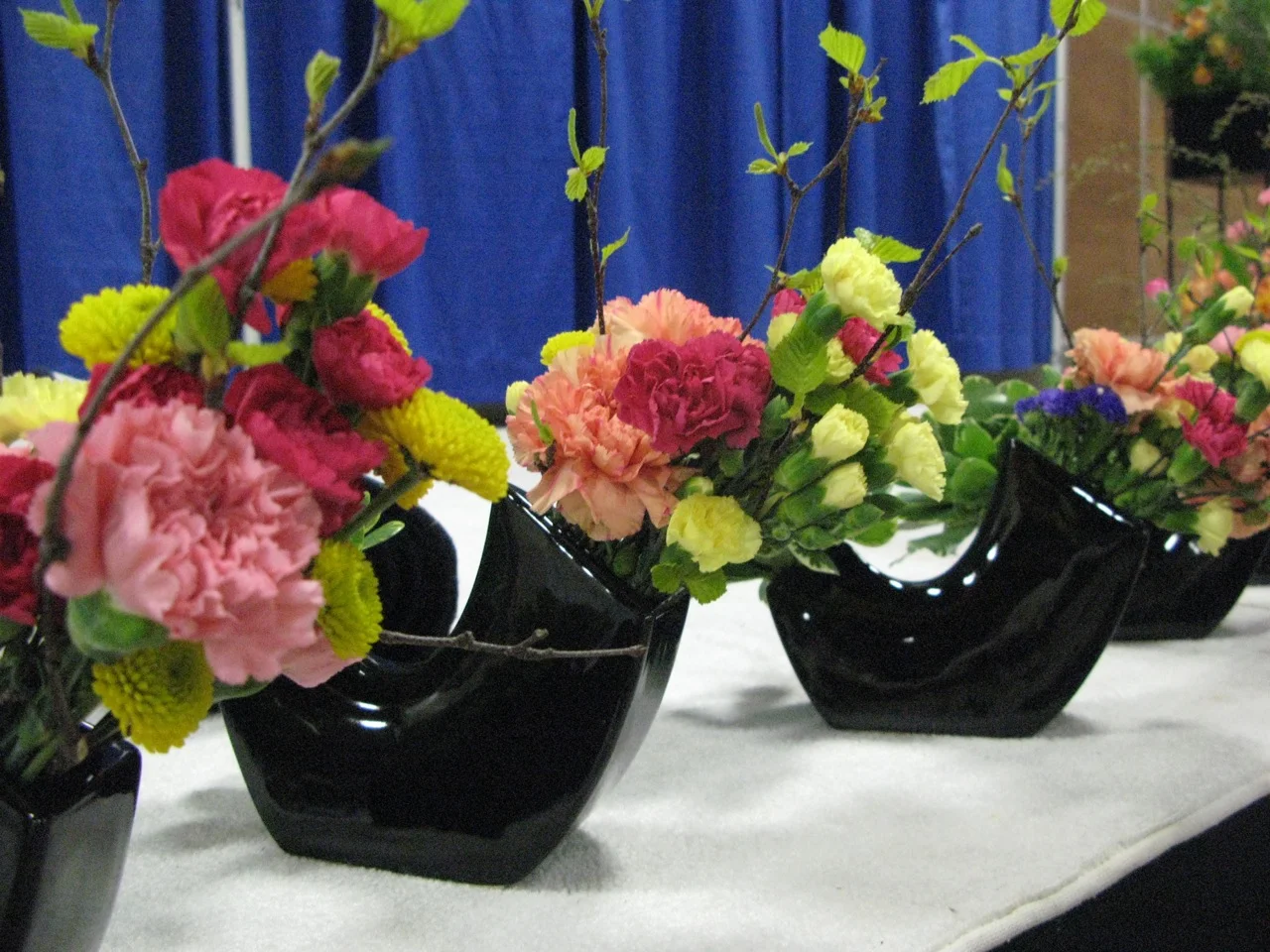 IMG_8827.jpg