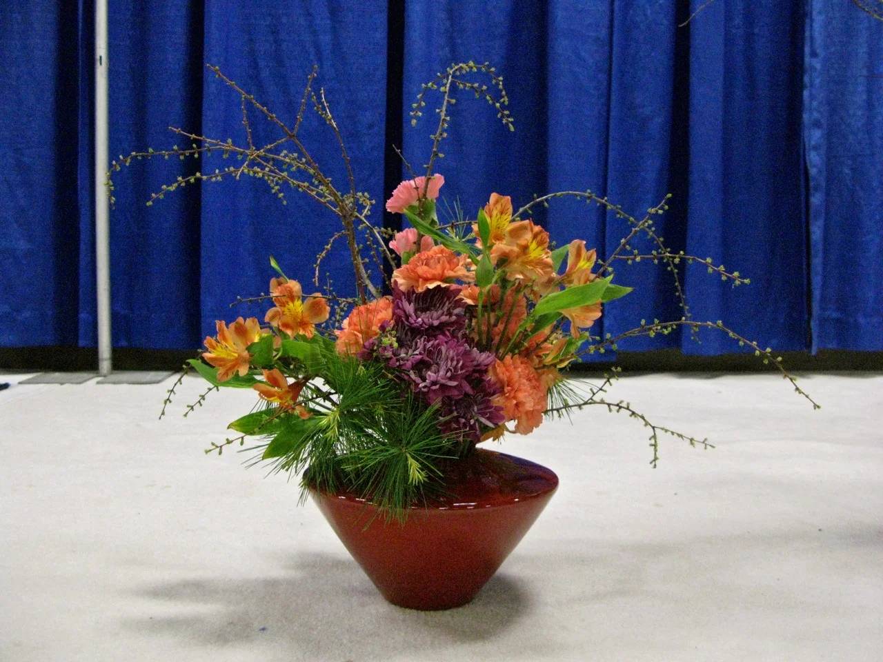 IMG_8824.jpg