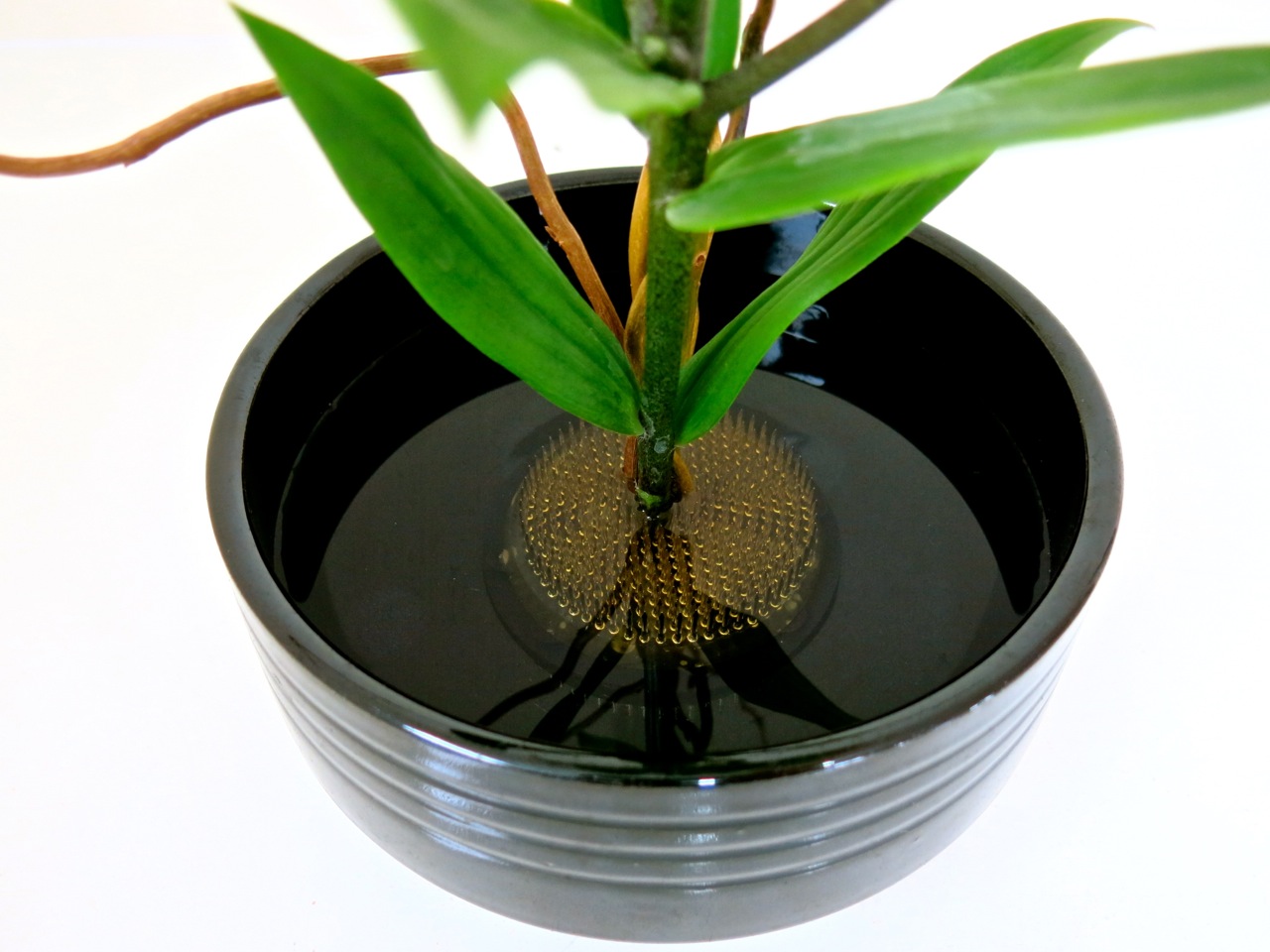 The black one is great for black containers.