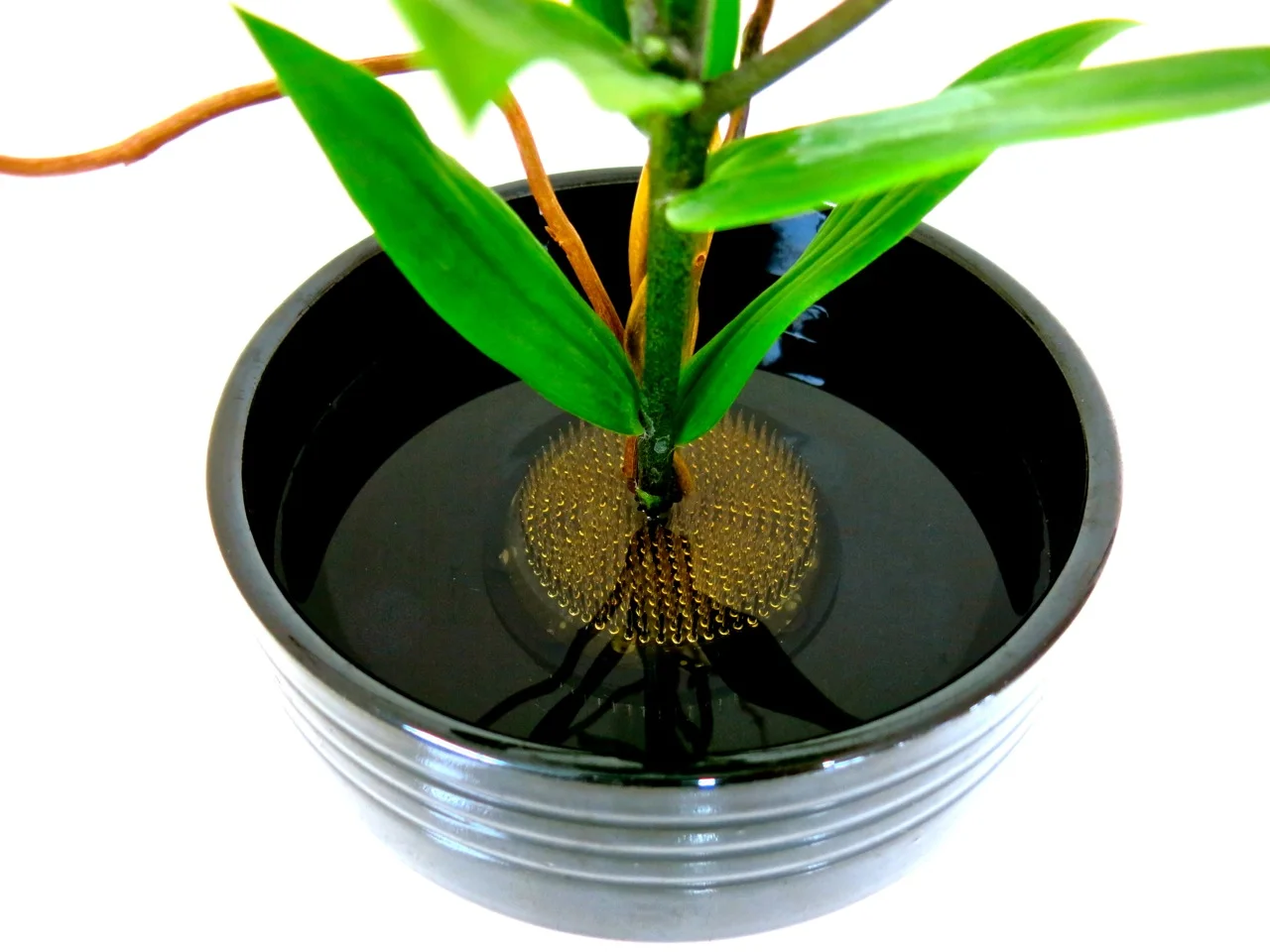 The black mat disappears in a black container.