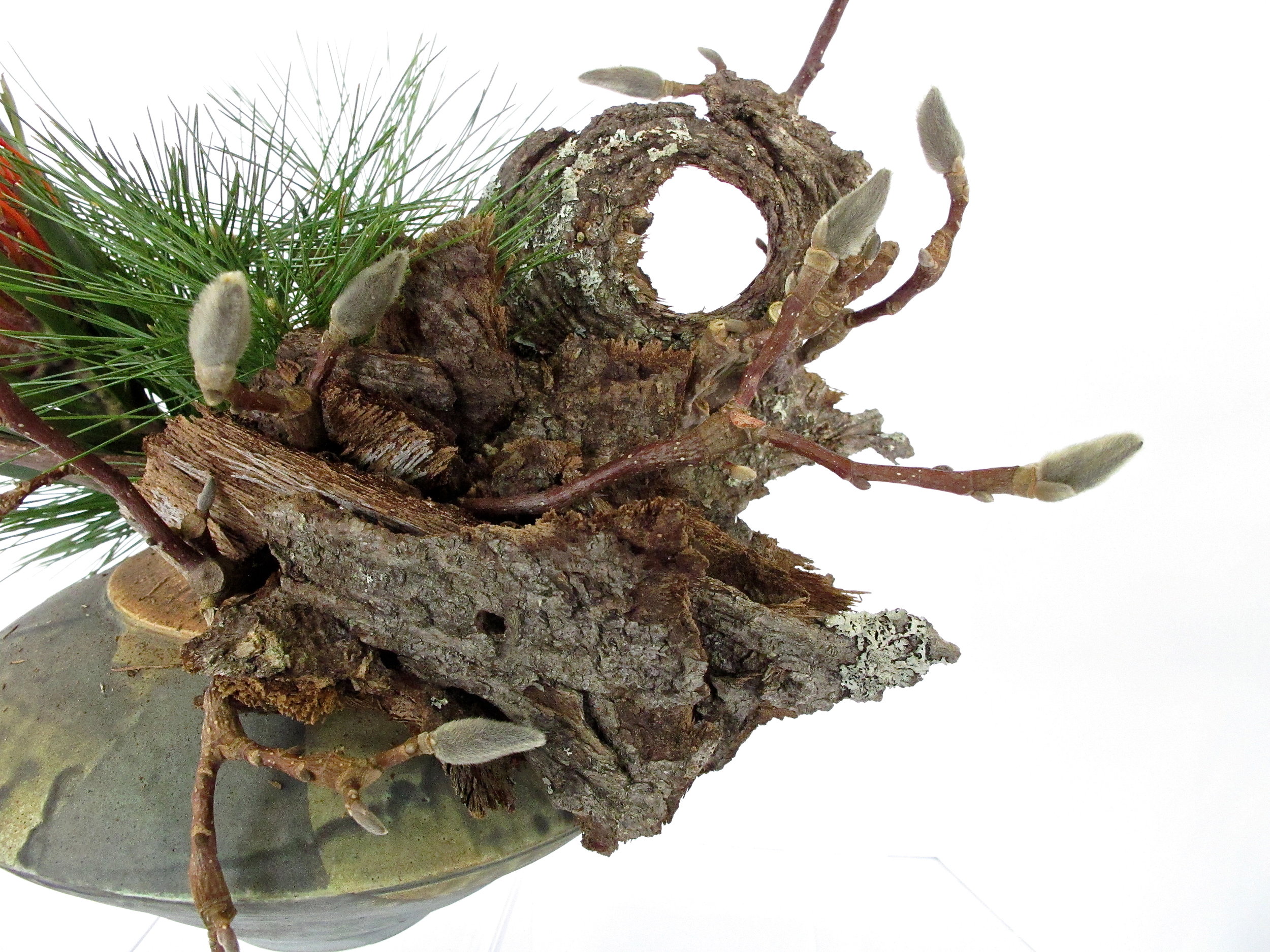 Surprise An Ikebana Exhibition The Ikebana Shop