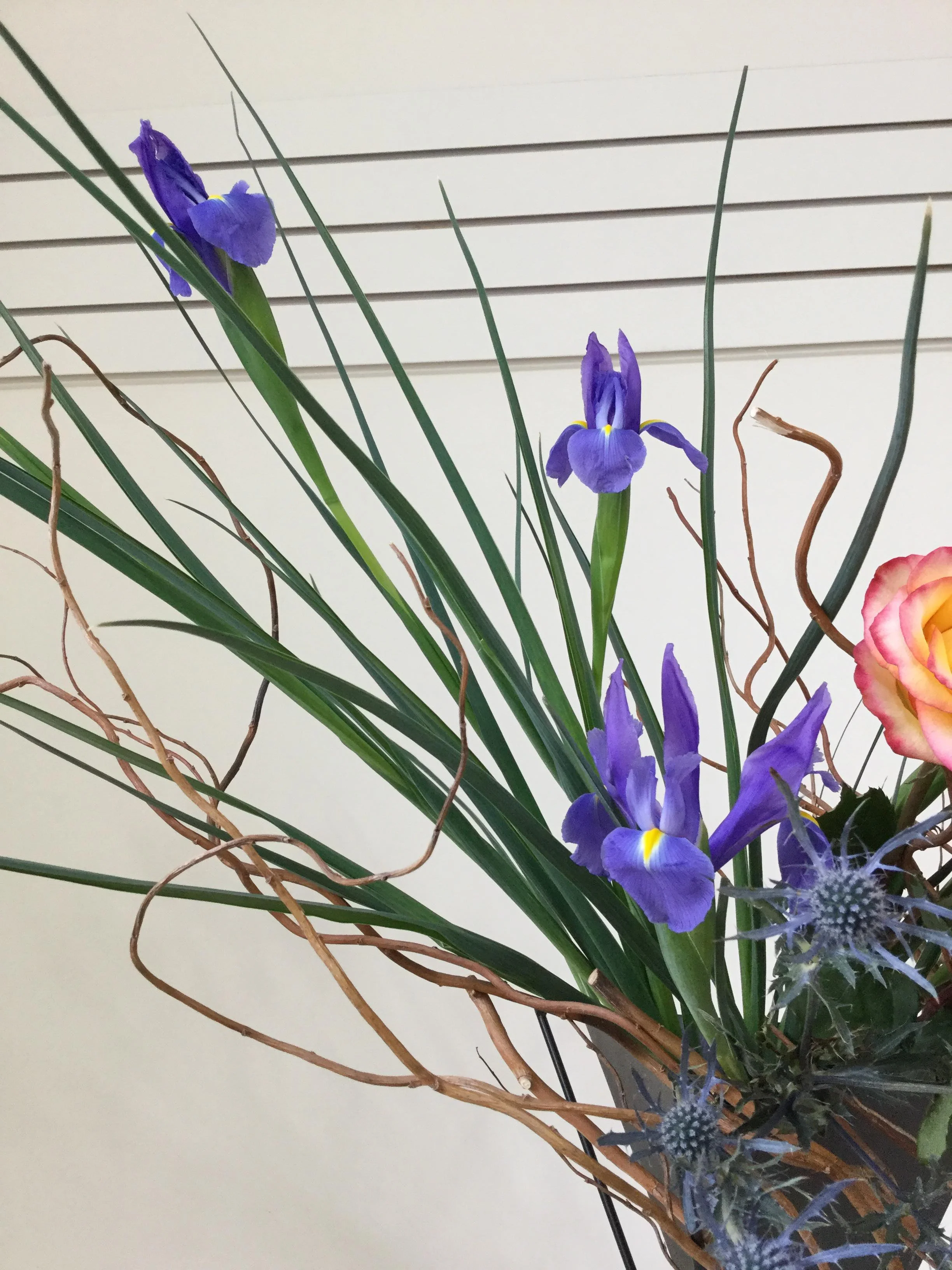 20190311 miyako 2.jpg