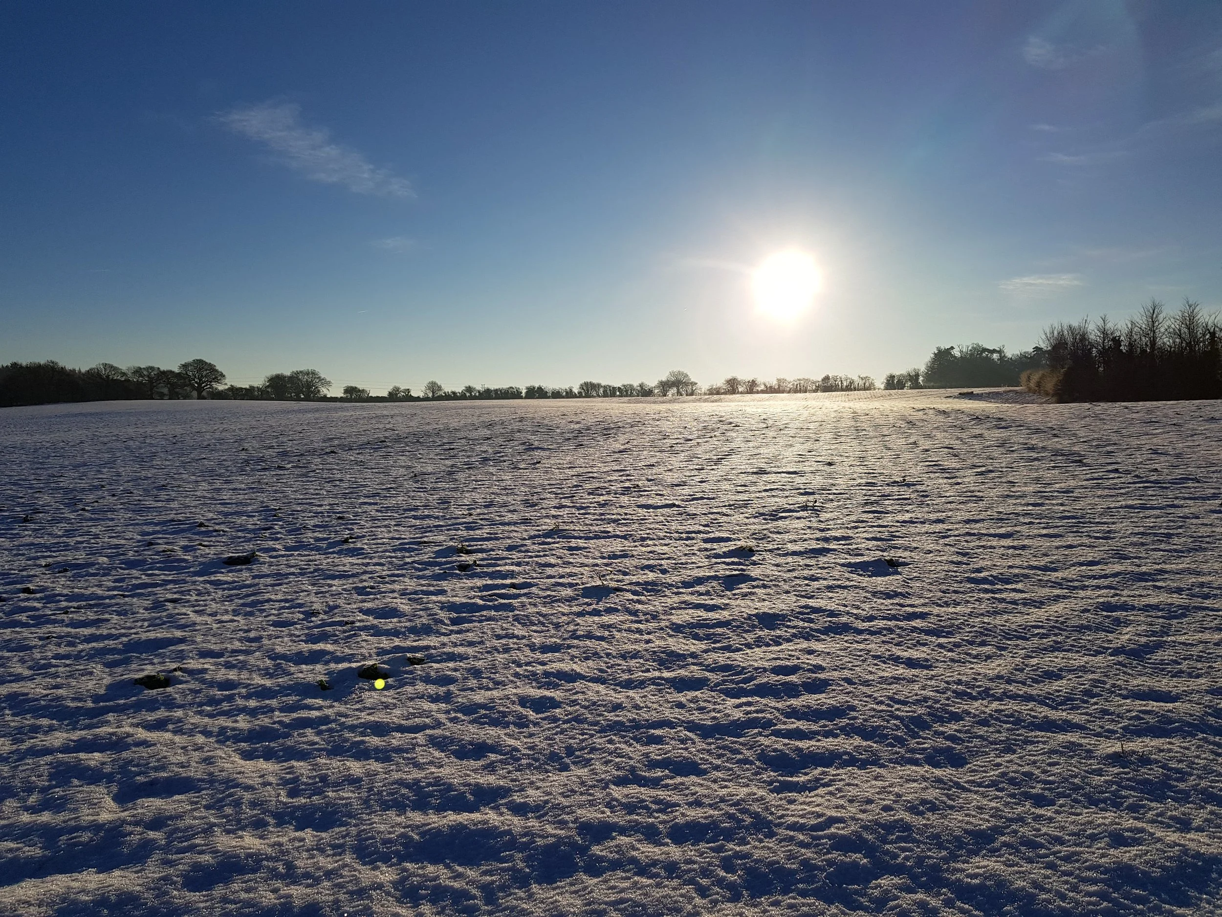 20171212_092348.jpg