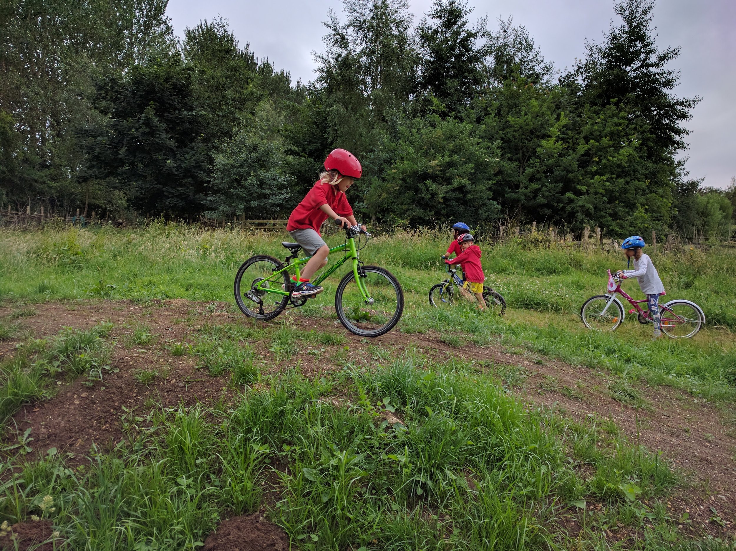 Bikes in the fields