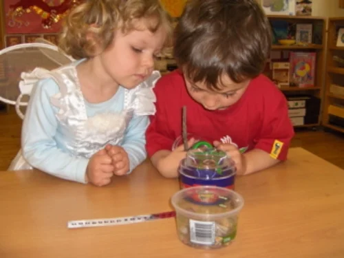 Children working with Montessori materials