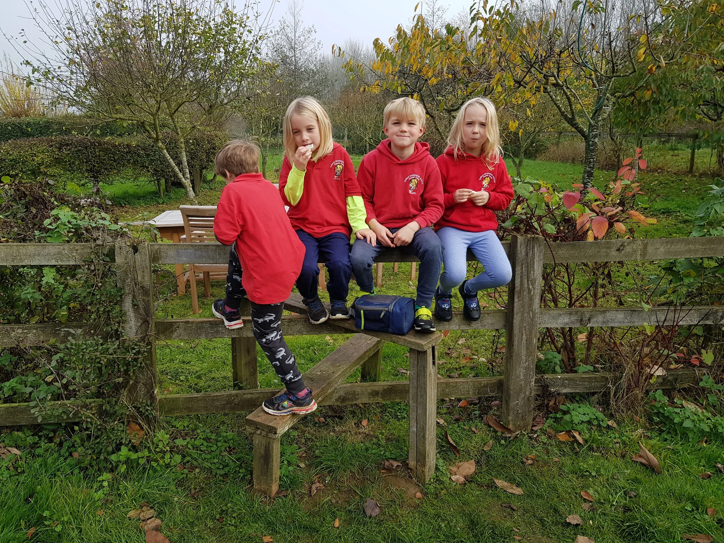 Forest Farm primary