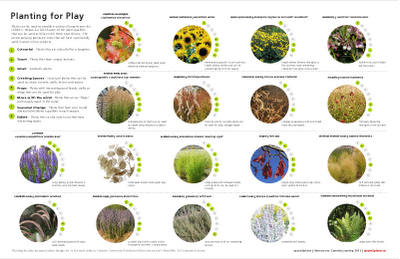 Planting for play