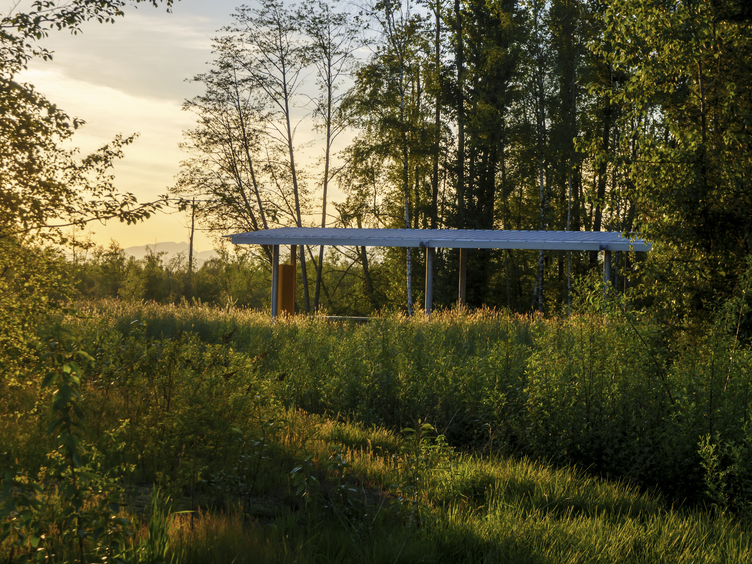 13013 - marsh shelter May 2017 evening - 8.jpg