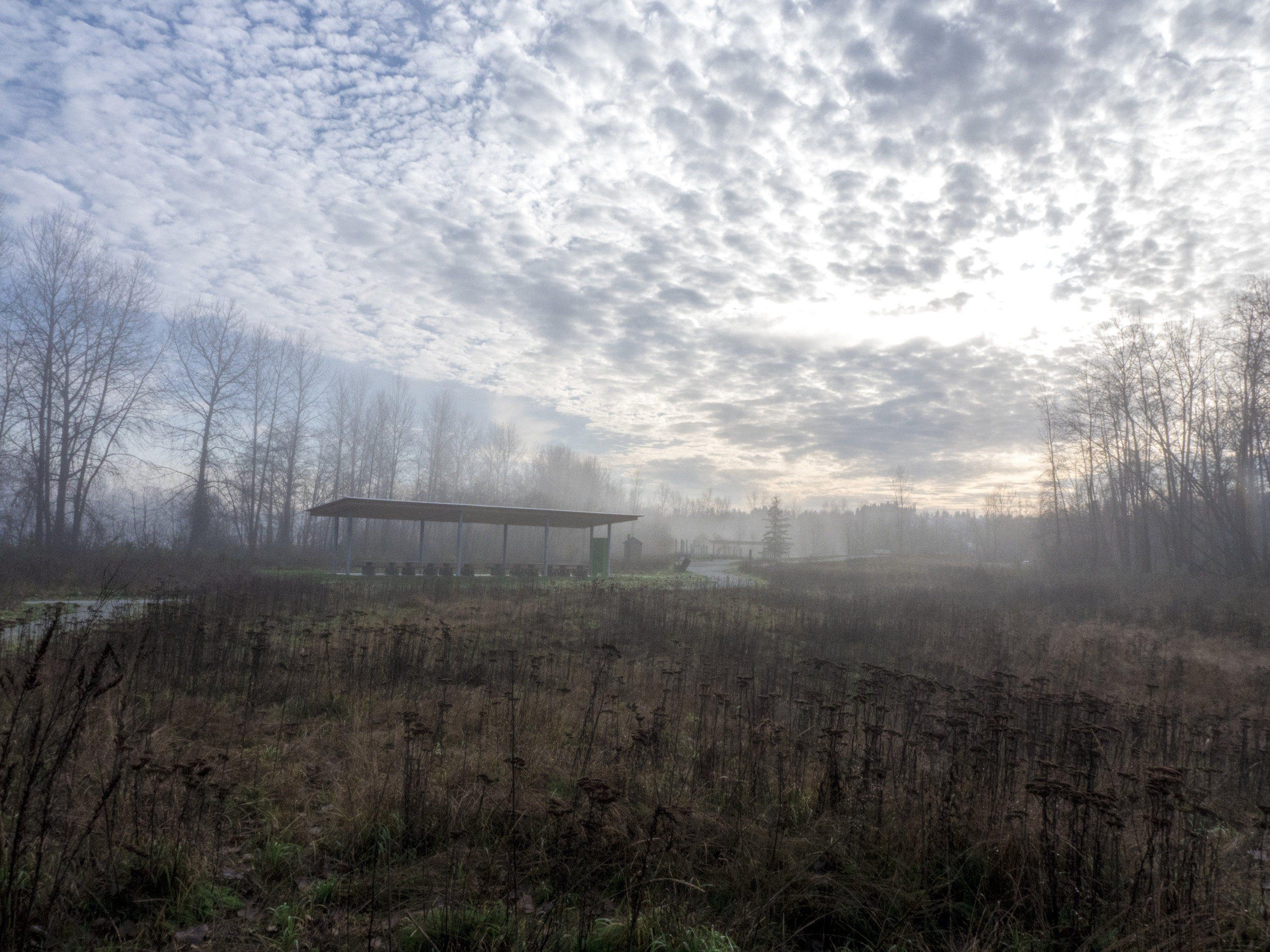 13013 shelter and meadow in winter fog.jpg