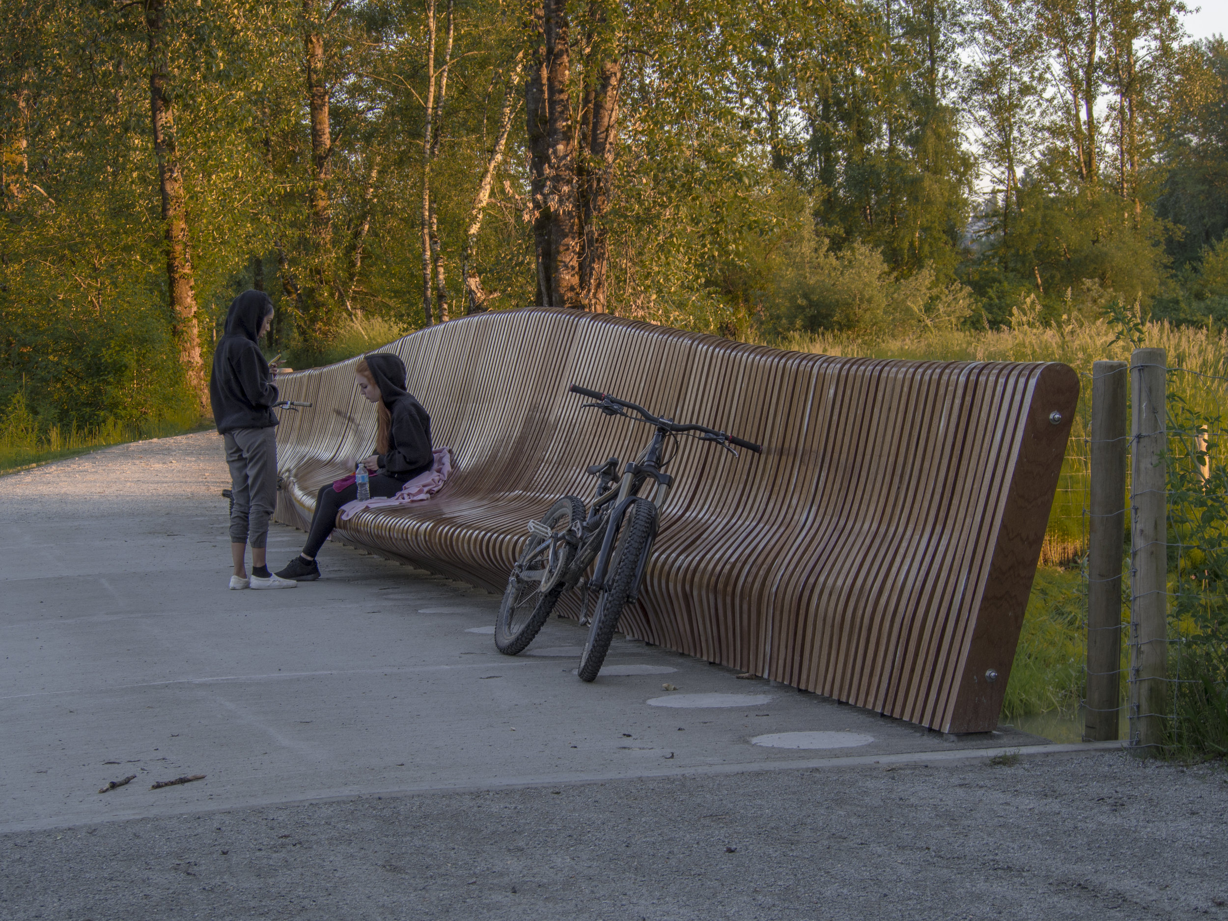 surrey bend bridge bench.jpg