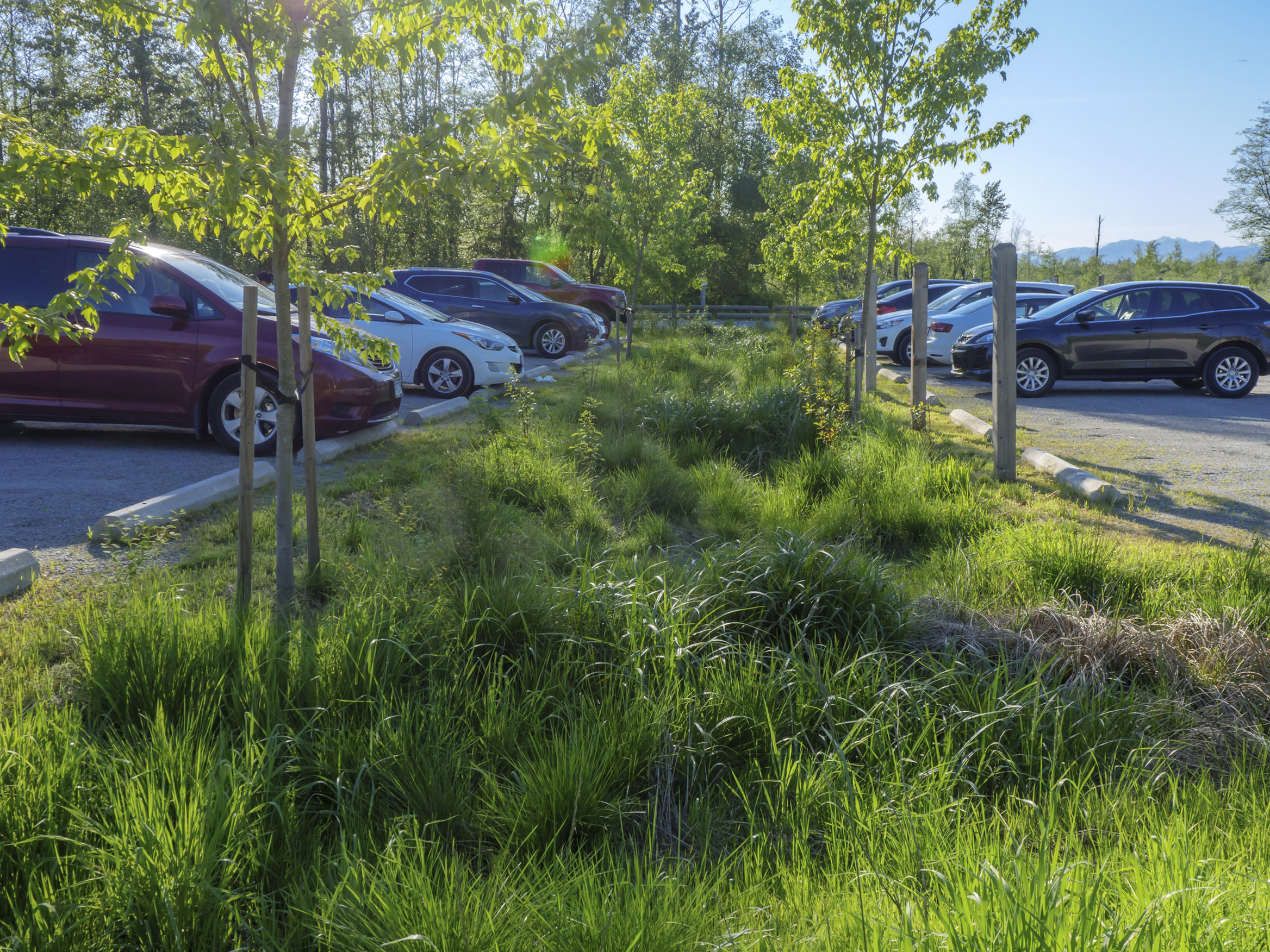 Surrey Bend Regional Park - space2place 15.jpg