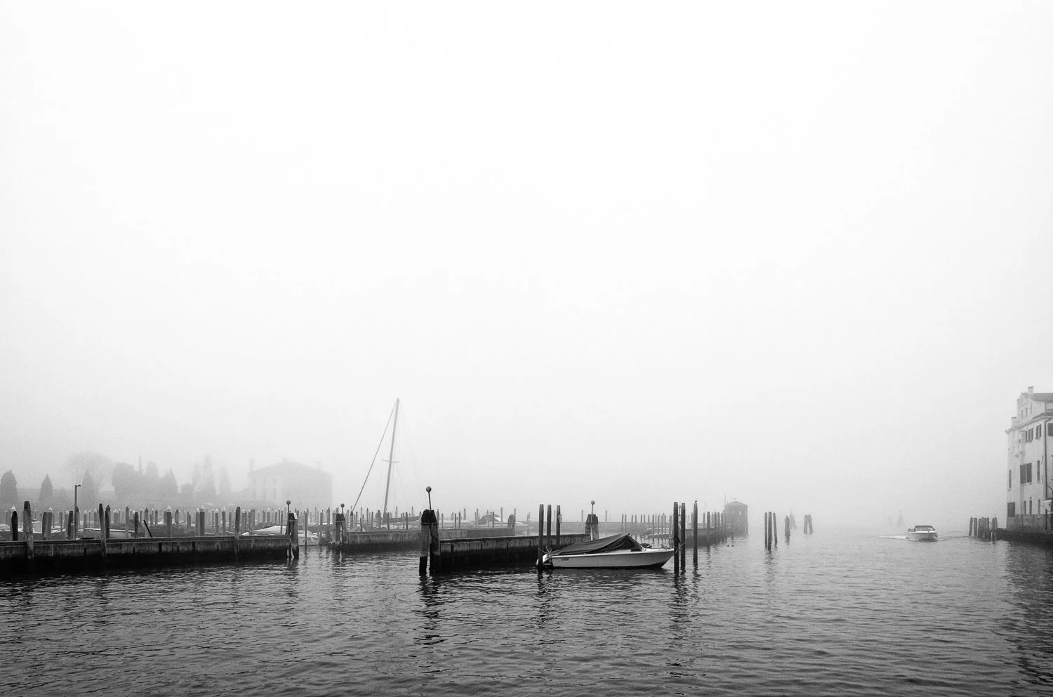 Winter Fog | Mark Lindsay