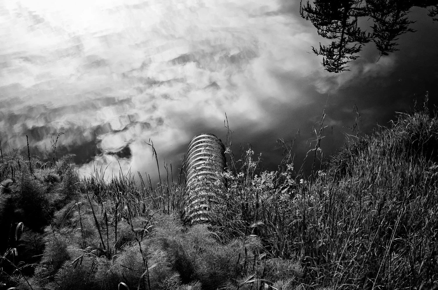The Corte Madera Drainpipe | Mark Lindsay