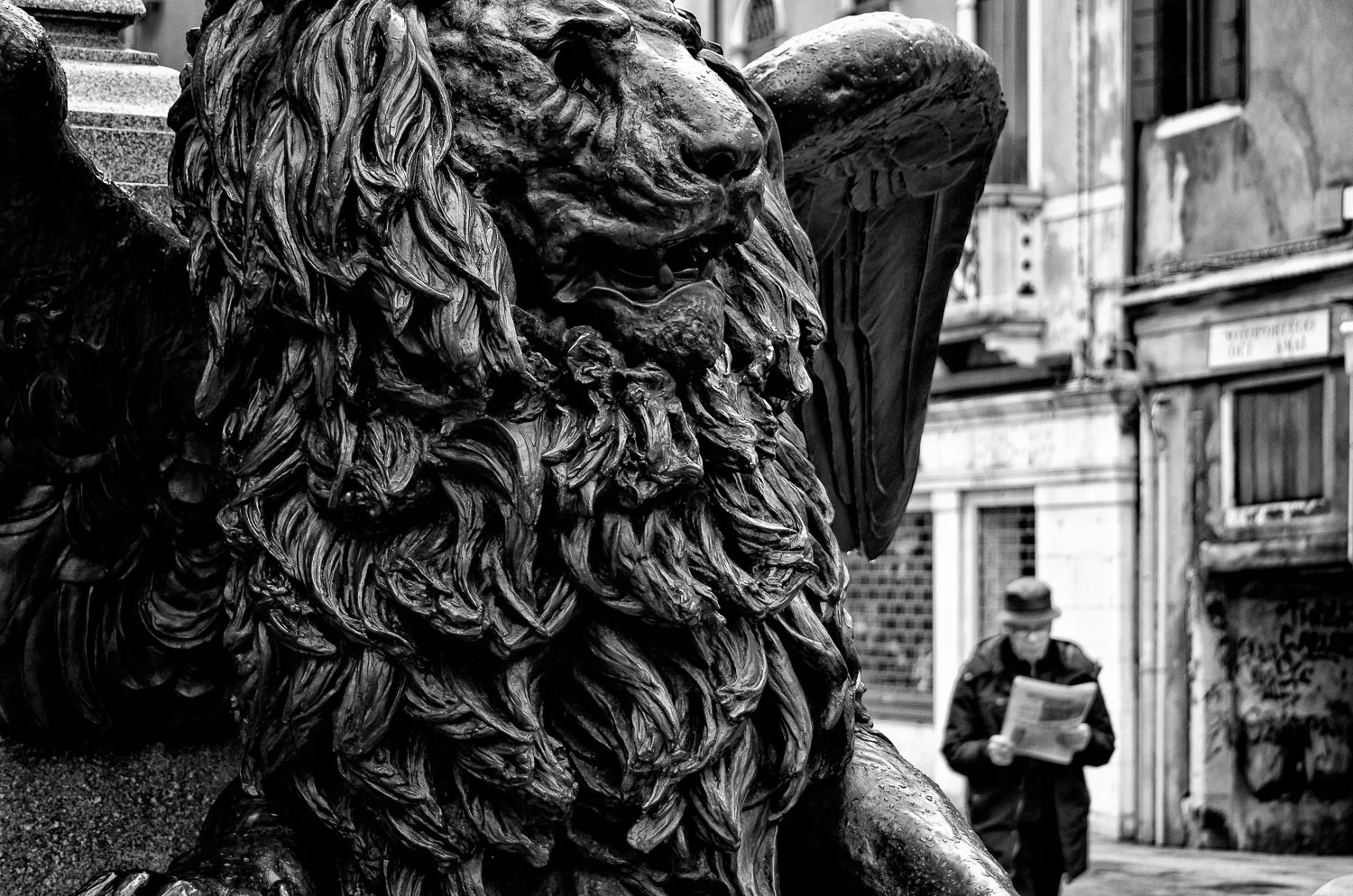 Venetian Lion with Man | Mark Lindsay