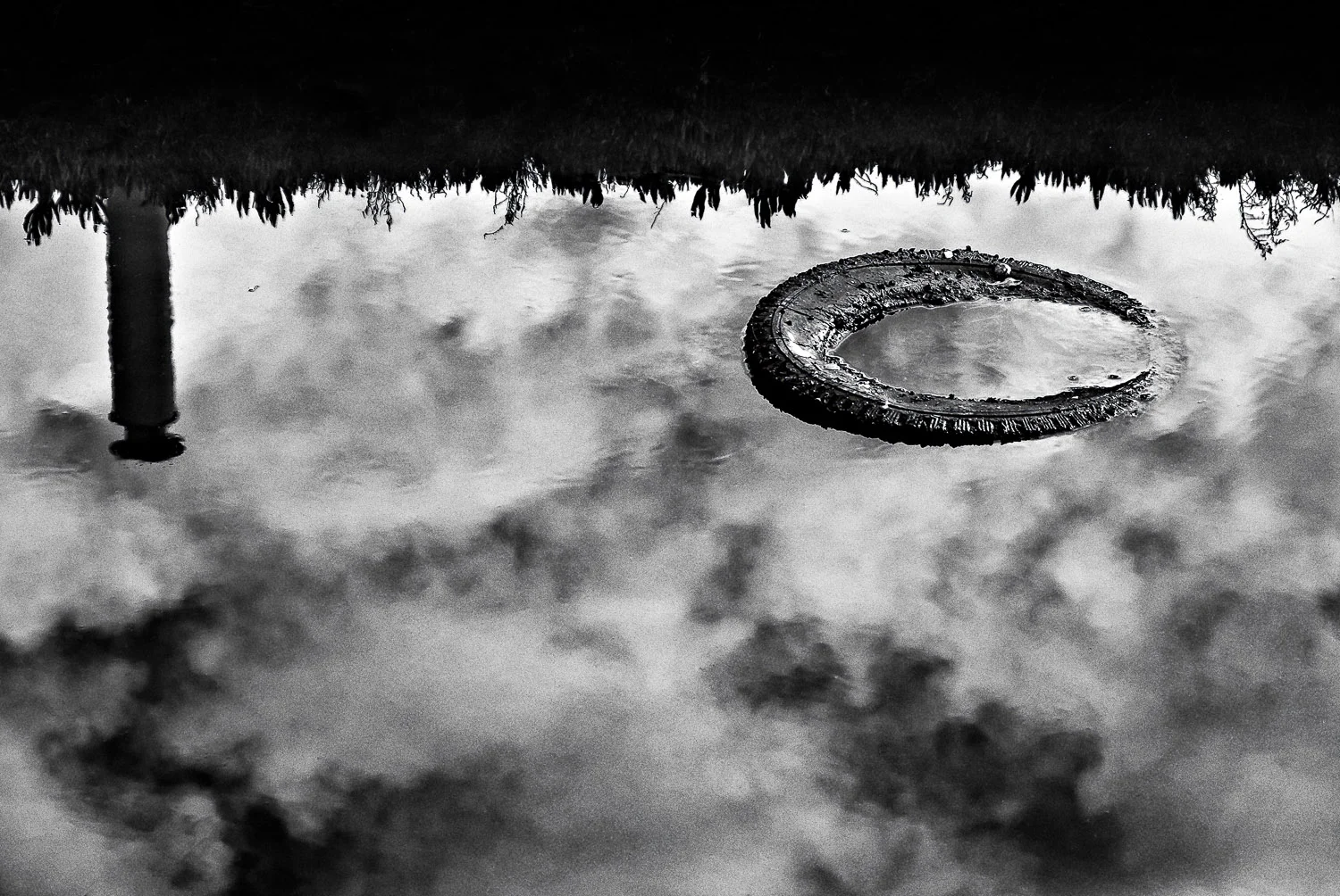 Tire with Reflections | Mark Lindsay