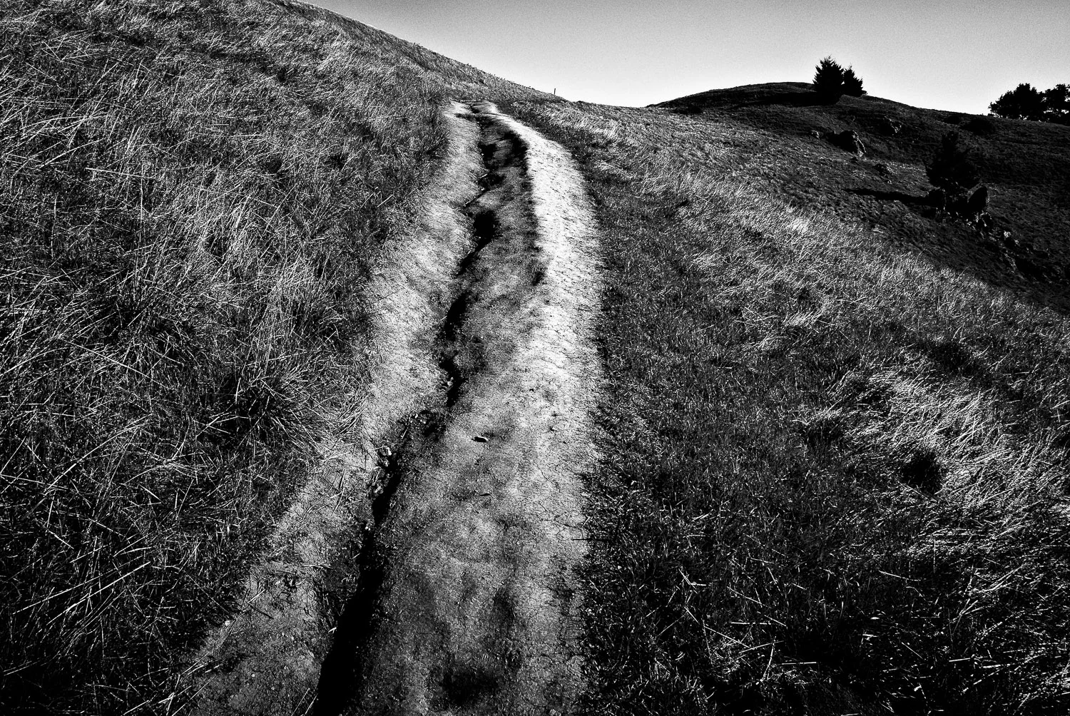 Path and Coastal Hills, Marin County | Mark Lindsay