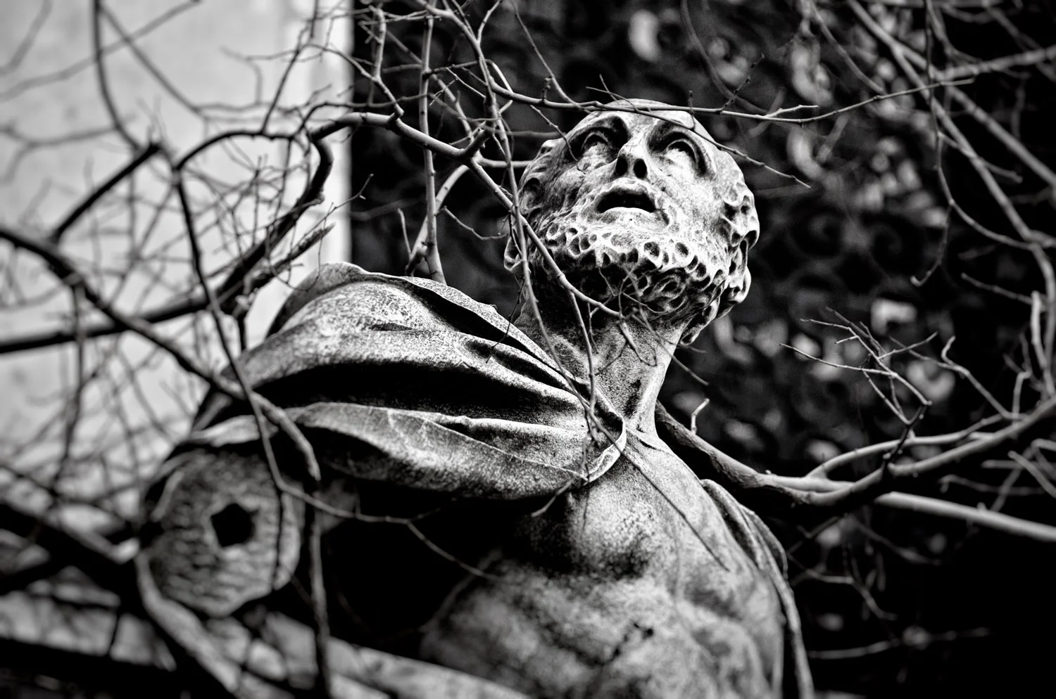 Venetian Ghost #24 | Mark Lindsay