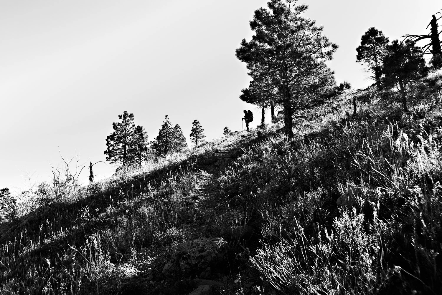 Saddle Mountain Silhouette | Mark Lindsay