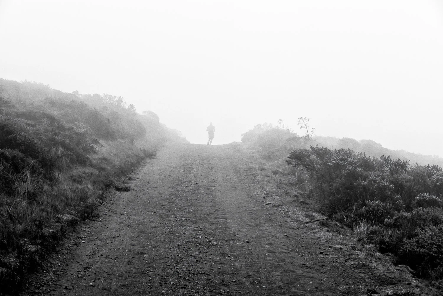 Runner and Fog | Mark Lindsay