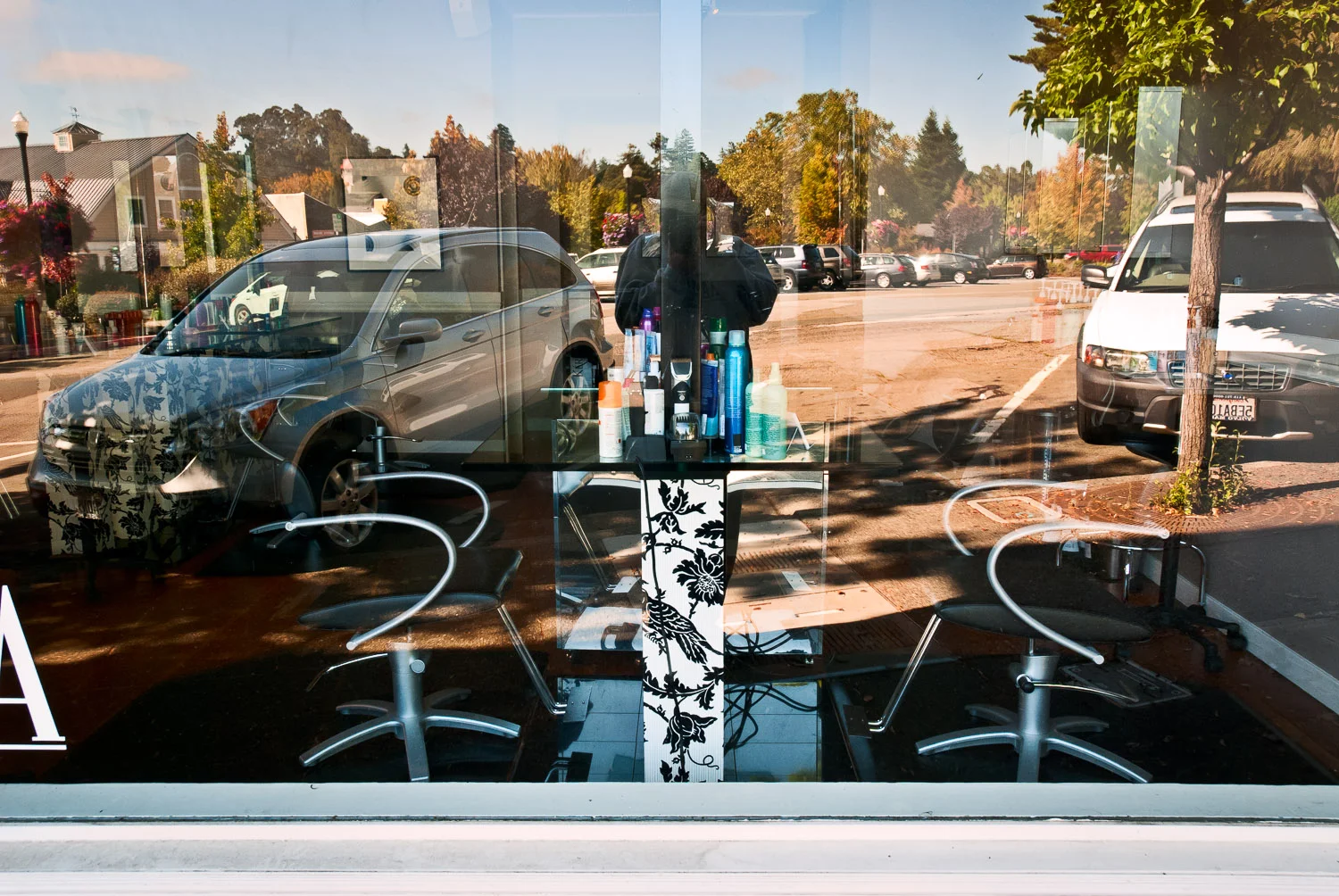 Split Portrait in Window | Mark Lindsay
