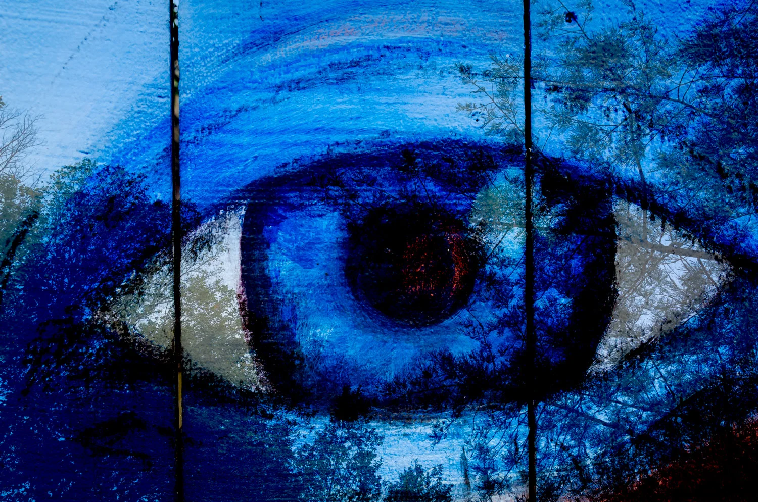 Night Sky Eye | Mark Lindsay