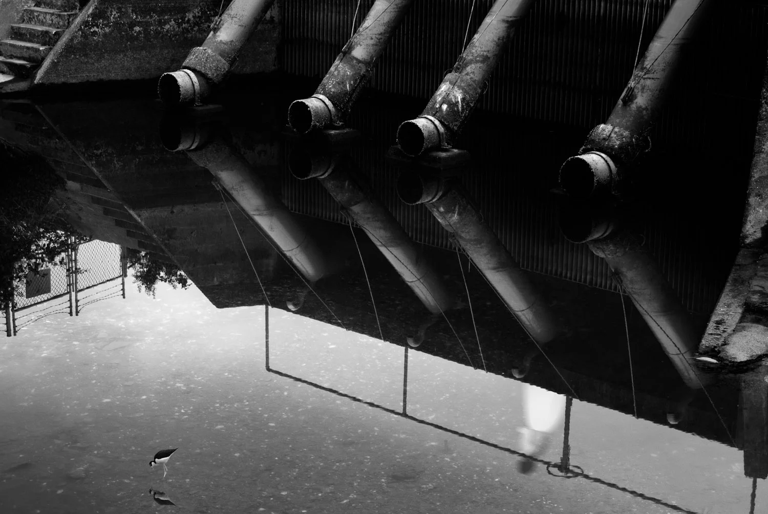 Desolation's Comfort #12